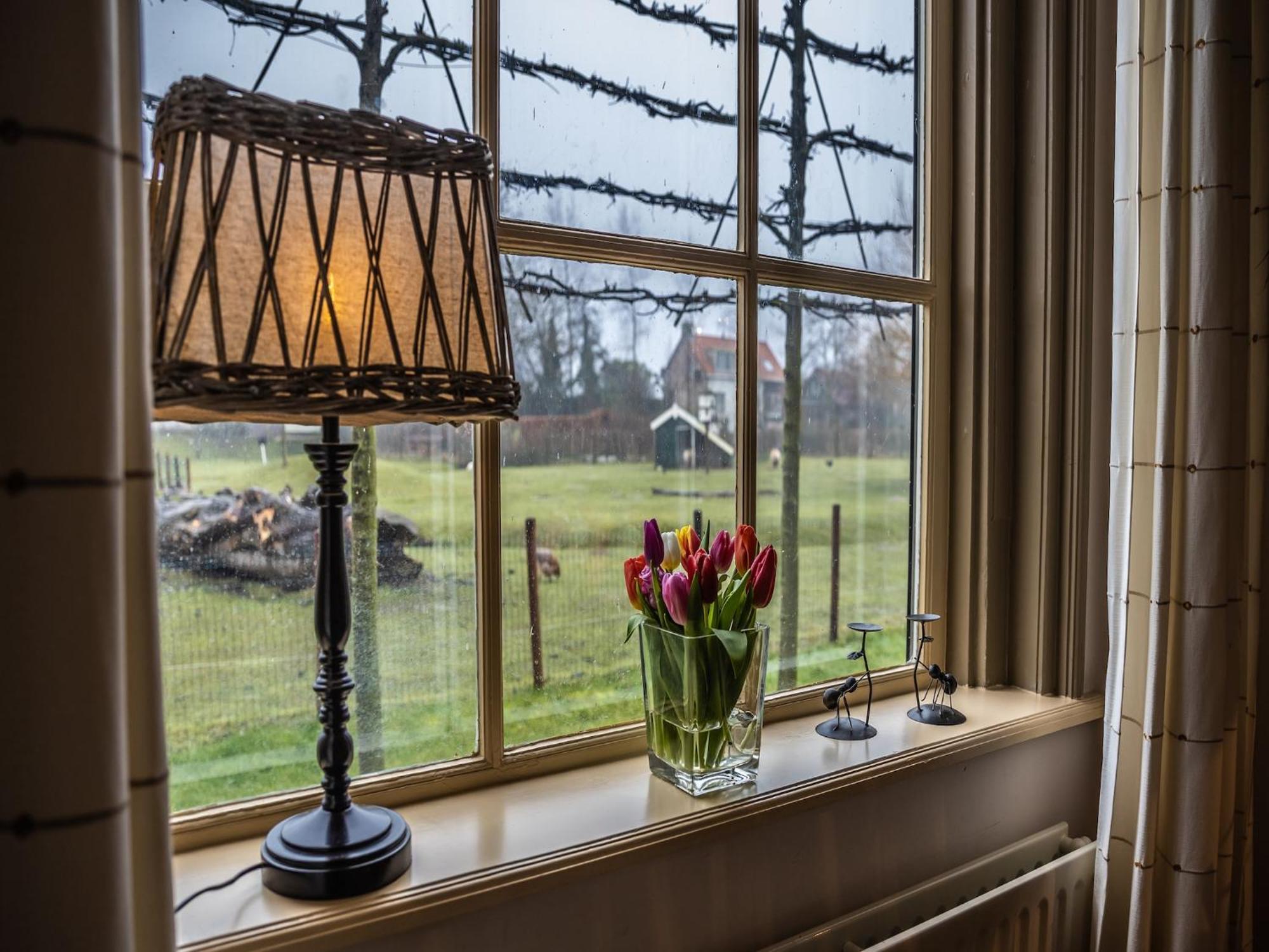 Cozy Holiday Home In Vrouwenpolder Close To The Beach Luaran gambar